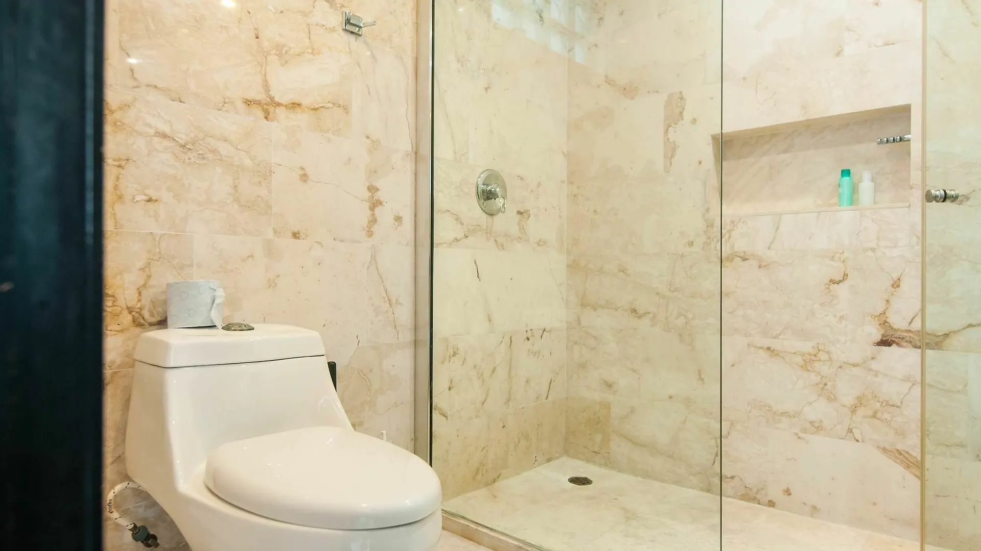 Costa Fina Oceanview Penthouse Daire Playa del Carmen